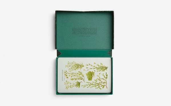 The School of Life Wonder Of Nature Card Set 4 The School of Life Wonder Of Nature Card Set