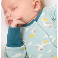 Frugi Lovely Little Babygrow