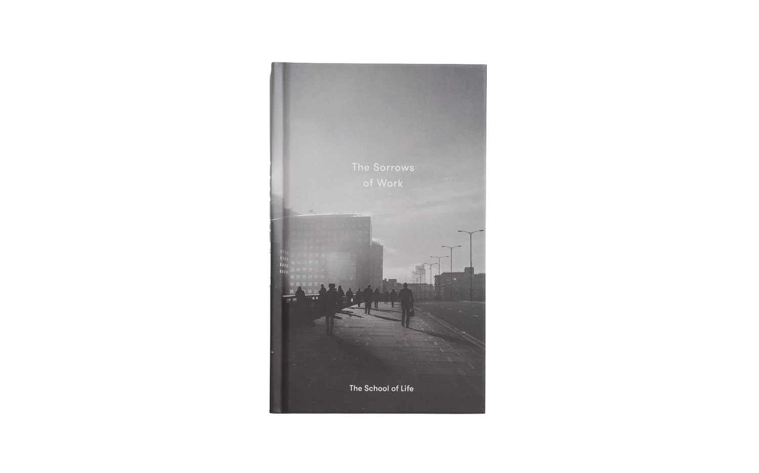 The School of Life The Sorrows of Work Book 3 The School of Life The Sorrows of Work Book