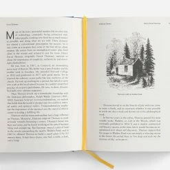 The School of Life Great Thinkers Book